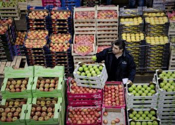 میوه شب عید از چهارشنبه توزیع می‌شود