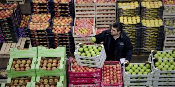 میوه شب عید از چهارشنبه توزیع می‌شود