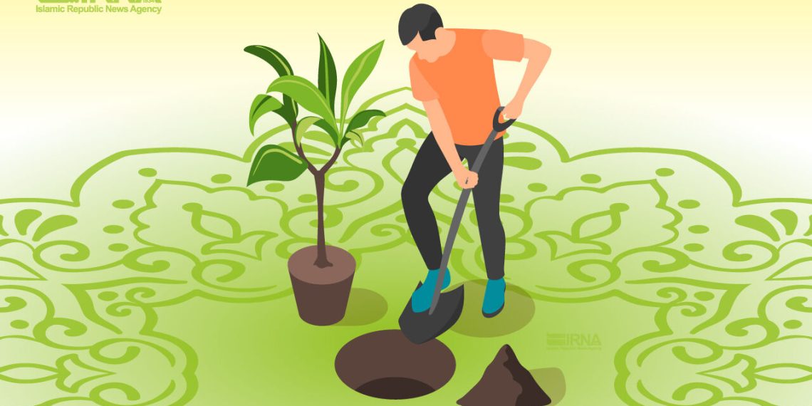 حمایت مجلس از کاشت یک میلیارد درخت در کشور