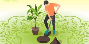 حمایت مجلس از کاشت یک میلیارد درخت در کشور