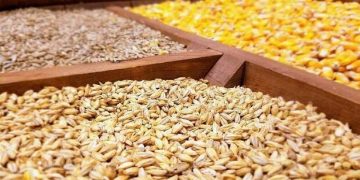 واردات نهاده های دامی به بیش از ۶ میلیارد و ۴۵۹ میلیون دلار رسید