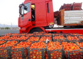 ۴۶۶ هزار تن محصولات کشاورزی از کردستان صادر شد
