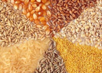 ارز نهاده‌های دام و طیور تامین شده است؟