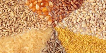 ارز نهاده‌های دام و طیور تامین شده است؟