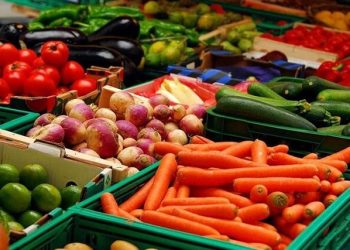 سازوکار مجلس برای پرداخت سهم دولت به صندوق بیمه محصولات کشاورزی