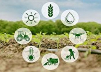 بومی سازی مقاومت بذرهای کشاورزی