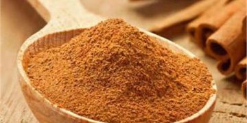 دارچین در بهبود یادگیری و حافظه موثر است