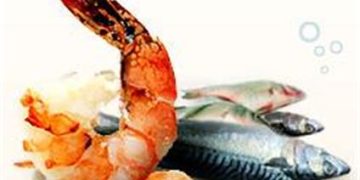 طرح آبزی مصرفی در کشور تدوین شد