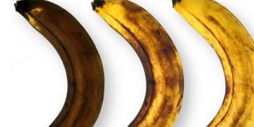 موز رسیده بهتر است یا نارس؟ پرتقال چطور؟ دیگر میوه‌ها؟