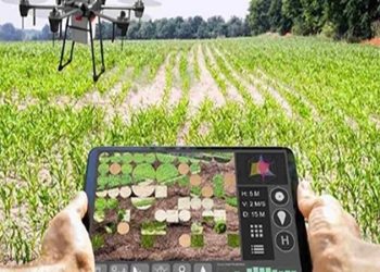 نرخ رشد ارزش افزوده کشاورزی به ۳.۷ واحد درصد رسید