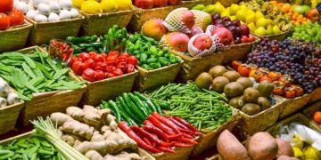 تولید بیش‌از چهار میلیون تن محصولات کشاورزی در سیستان و بلوچستان