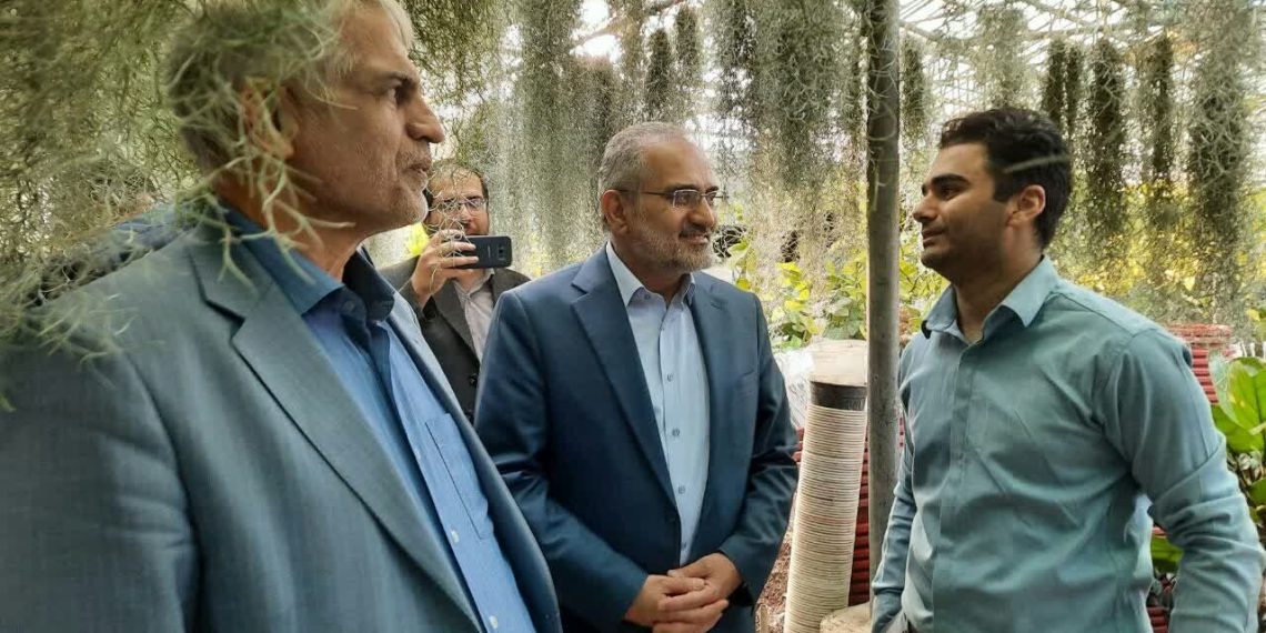 بازدید معاون پارلمانی رئیس جمهور از گلخانه‌های پاکدشت