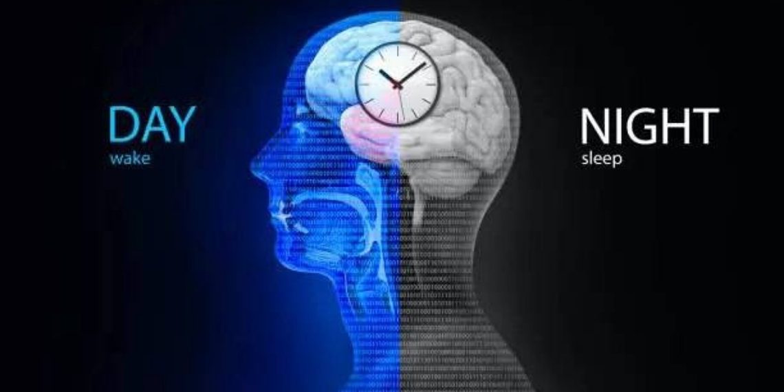 چرخه خواب و بیداری در اختیار ساعت بدن