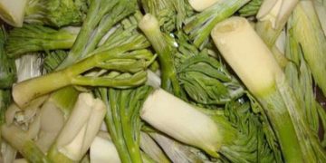 این گیاه را نخورید، کبد را نابود می‌کند