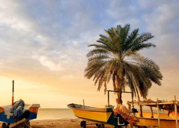 جاسک به شهرستانی ویژه در حوزه شیلات تبدیل شده است