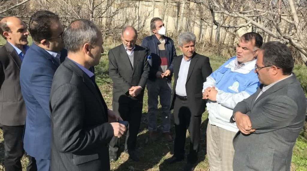 سرما بیش از ۳ هزار و ۵۰۰ میلیارد ریال به بخش کشاورزی و باغی خلخال خسارت زد