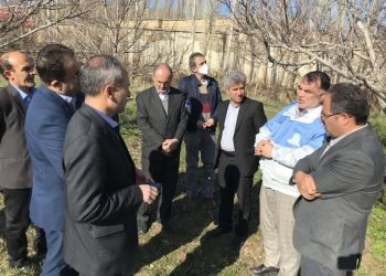 سرما بیش از ۳ هزار و ۵۰۰ میلیارد ریال به بخش کشاورزی و باغی خلخال خسارت زد