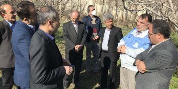 سرما بیش از ۳ هزار و ۵۰۰ میلیارد ریال به بخش کشاورزی و باغی خلخال خسارت زد