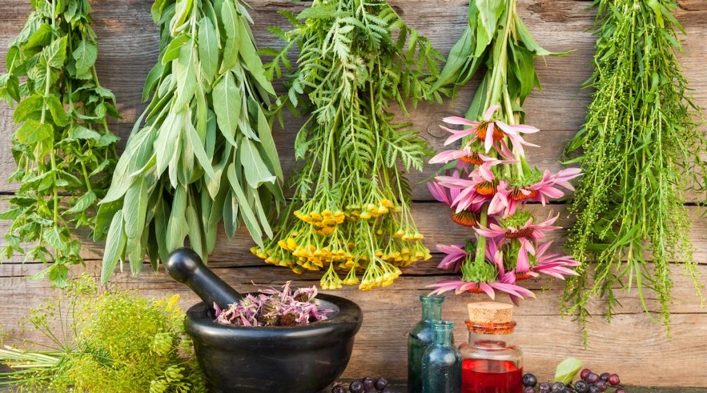 تشکیل کنسرسیوم‌های تخصصی برای تنوع‌بخشی به سبد گیاهان دارویی و طب سنتی