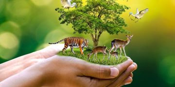 حفظ تنوع زیستی نیازمند تغییر در شیوه و نظام حکمرانی منابع طبیعی است