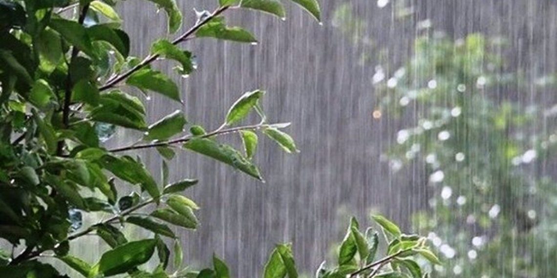 افزایش ۳۰.۳ میلی‌متری بارش‌های بوشهر نسبت به بلند مدت ۳۰ ساله