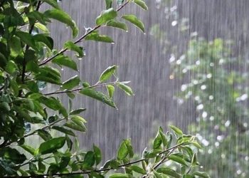 افزایش ۳۰.۳ میلی‌متری بارش‌های بوشهر نسبت به بلند مدت ۳۰ ساله