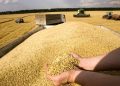 ۵۰۰ میلیارد تومان از مطالبه گندم‌کاران بوشهری به شکل علی‌الحساب پرداخت شد