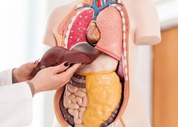 چیزهایی که فکر نمی‌کنید به کبدتان آسیب می‌زنند | بهترین راه برای پیشگیری از آسیب جدی به کبد