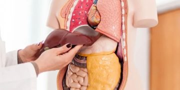 چیزهایی که فکر نمی‌کنید به کبدتان آسیب می‌زنند | بهترین راه برای پیشگیری از آسیب جدی به کبد