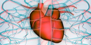 شایع‌ترین علائم گرفتگی رگ قلب را بشناسید