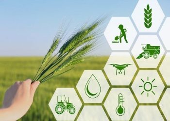 از اصلاح قیمت‌ شیرخام تا تصویب قیمت گندم