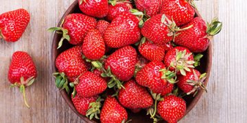 بزرگ‌ترین قطب تولید توت فرنگی البرز در آستانه تعطیلی!