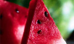 هندوانه محصولی آب بر اما ارزان/هر کیلو ۳ تا ۸ هزار تومان+جدول