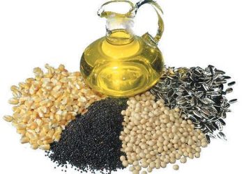 افت شدید قیمت جهانی دانه های روغنی و گندم