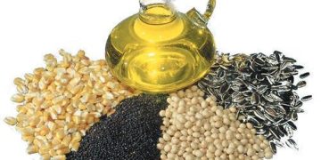 افت شدید قیمت جهانی دانه های روغنی و گندم