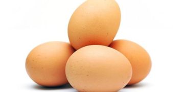 بازار آرام تخم مرغ/ قیمت‌ کاهشی شد