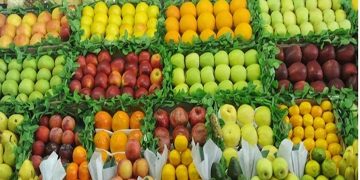 لبنان صادرات محصولات صنعتی و کشاورزی به عربستان را از سر می‌گیرد