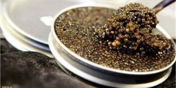 تثبیت نشان تجاری «خاویار سیاه خزری»