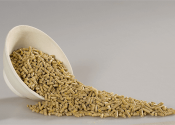 صادرات خوراک دام و طیور ممنوع شد