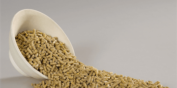 صادرات خوراک دام و طیور ممنوع شد