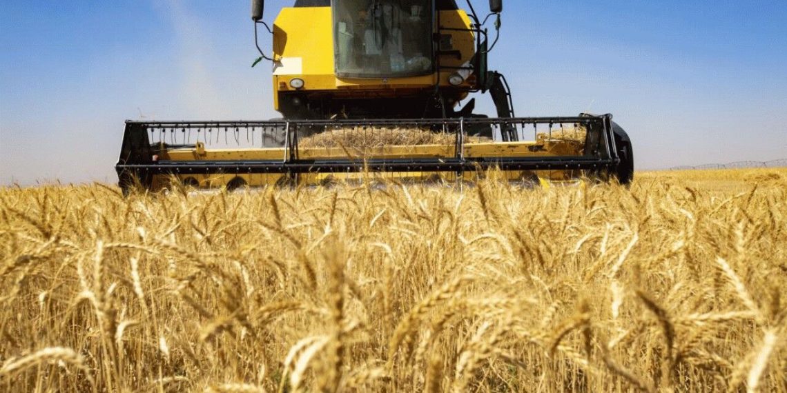 نرخ کمباین‌ جهت برداشت غلات اعلام شد