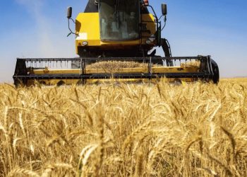 نرخ کمباین‌ جهت برداشت غلات اعلام شد