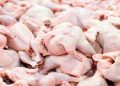 واکنش سازمان دامپزشکی به واردات گوشت مرغ آلوده از بلاروس