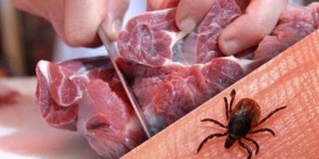 مردم توصیه های بهداشتی در ارتباط با تب کریمه کنگو را جدی بگیرند