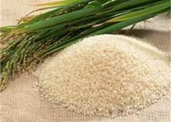 هدف طرح خرید برنج توسط اعضای انجمن تولیدکنندگان برنج ایران حمایت از شالیکاران است