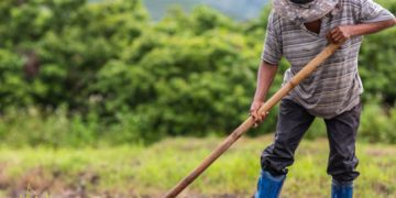 مهم‌ترین چالش «آب» گره زدن آن به اقتصاد است