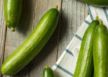 مقابله با گرمای هوا با مصرف این میوه خوشمزه | خوراکی‌ها و میوه‌های آبرسان را بشناسید