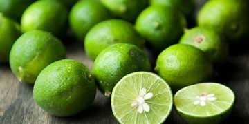 دبیر انجمن صنفی کشاورزی رودان نسبت به احتمال ضرر و زیان لیموکاران هشدار داد