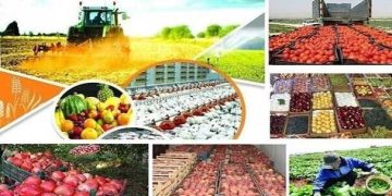 افتتاح ۴۲ طرح جهاد کشاورزی در لرستان