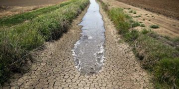 آب در حوضه کرخه به خوبی مدیریت نمی‌شود/ کشاورزان پایین‌دست با مشکل مواجه‌اند